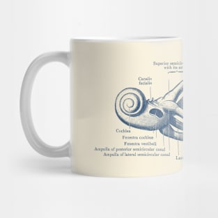 Inner Ear Anatomy Diagram Mug